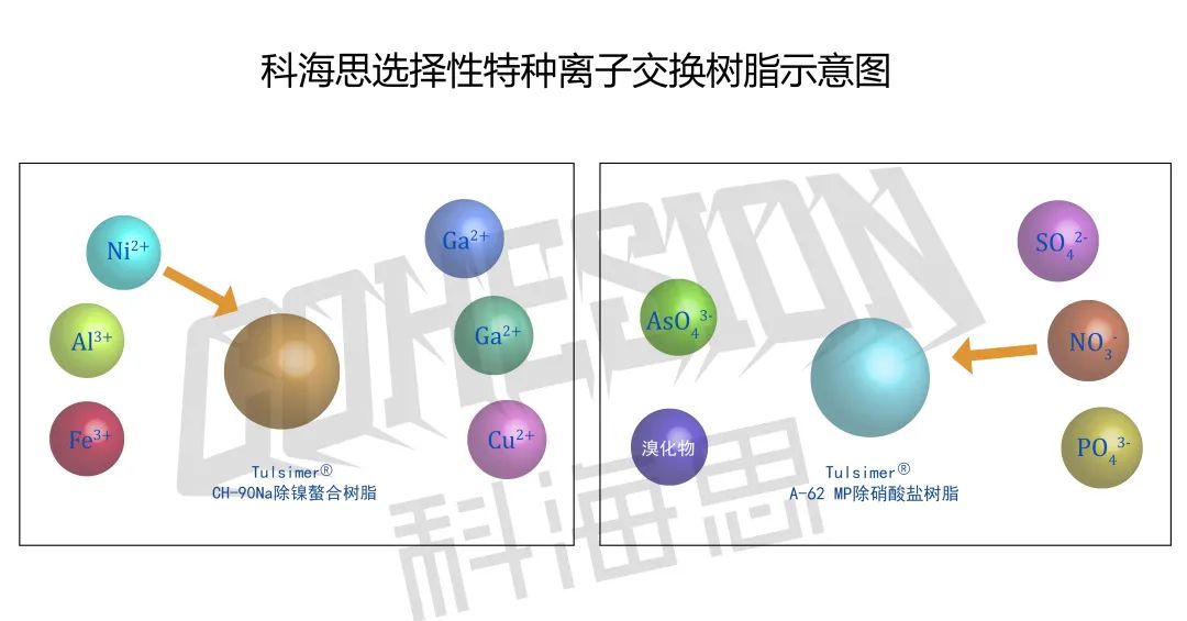 在實(shí)際水處理運(yùn)行中，離子交換樹(shù)脂選擇性的影響因素有哪些